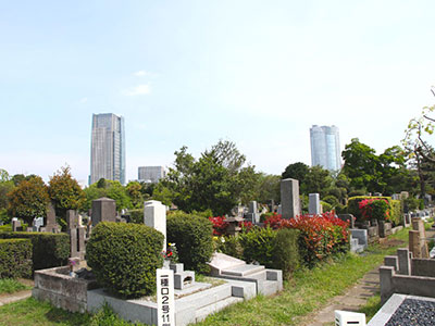 都立青山霊園