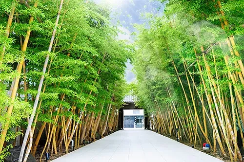 青山梅窓院墓苑TOPICS