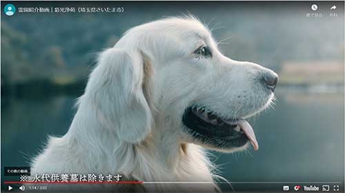 ペットと共葬できます。