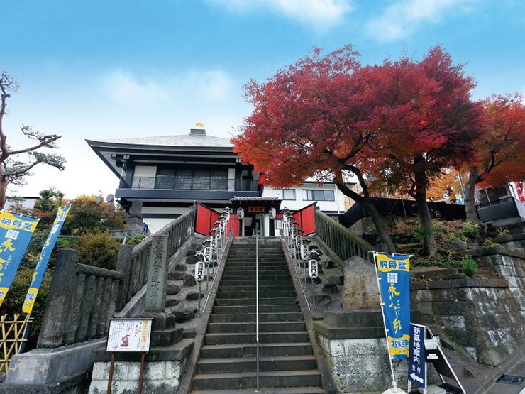 清立院-1