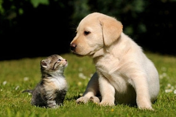 ふたり墓所 樹木葬3