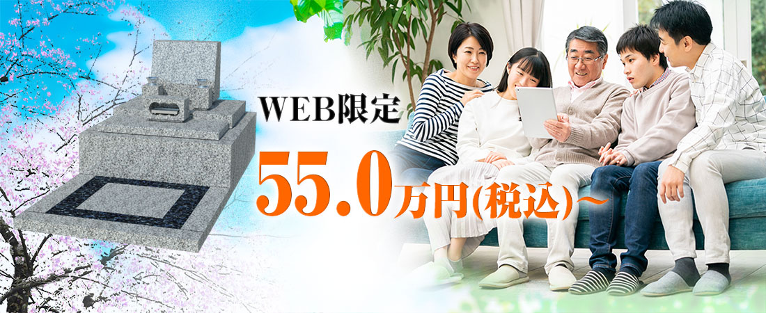 WEB限定55.0円